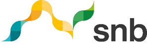 snb logo small