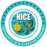 Nice Logo 01