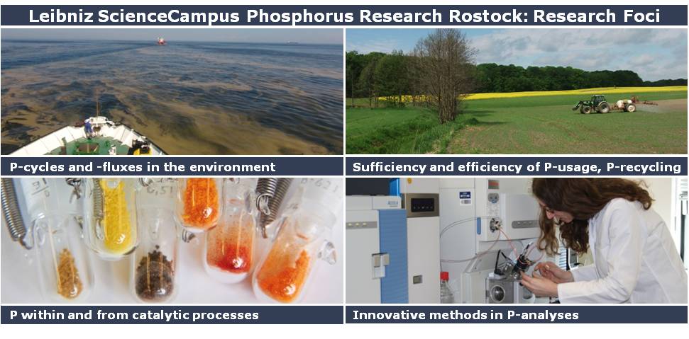 PCampus Cluster