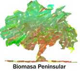 Biomasa Peninsular Logo